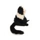 thumbnail image 2 of Peluche Wild Republic Mini Cuddlenkins Capuchino Mini Negro 16 cm, 2 of 2