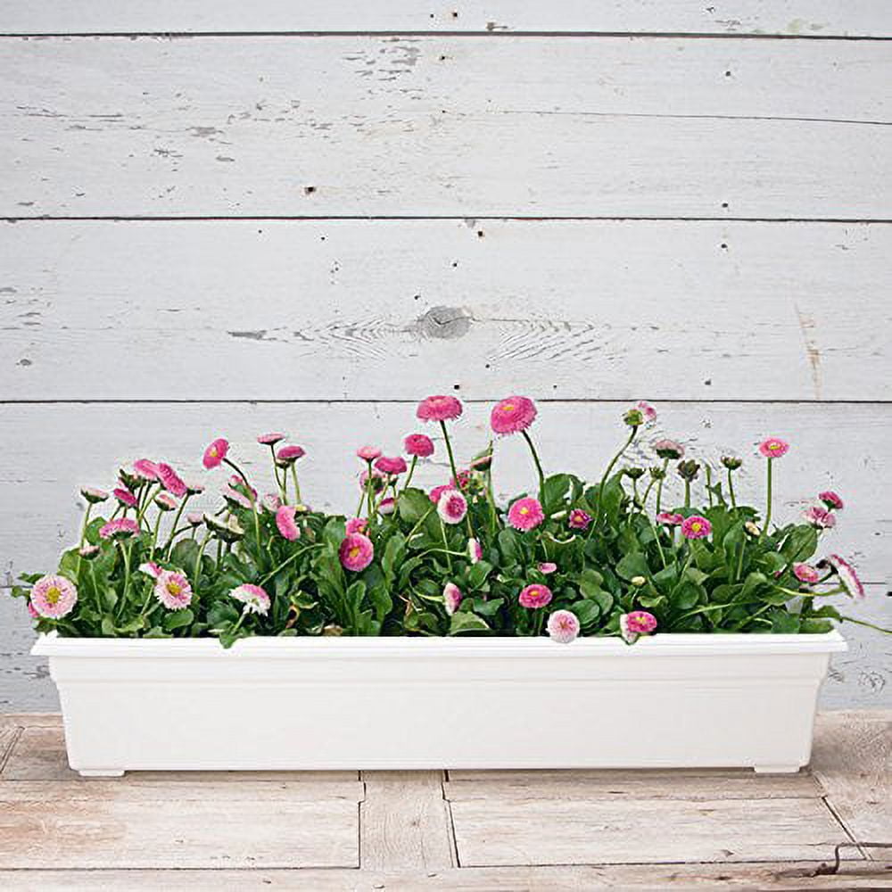Root & Vessel Countryside Flower Box, White, 36"