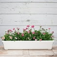 thumbnail image 3 of Root & Vessel Countryside Flower Box, White, 36", 3 of 7