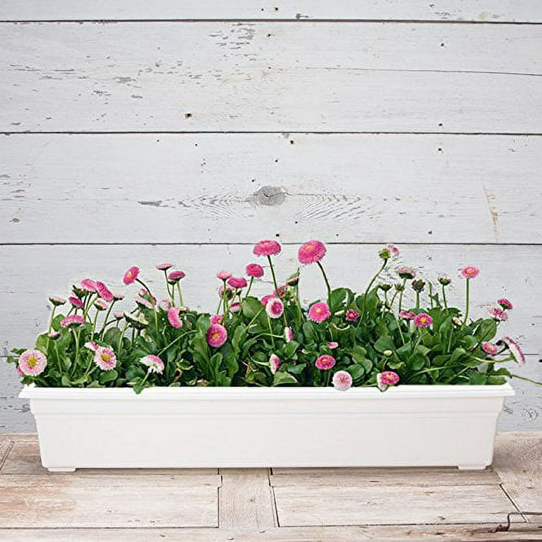 When to Add Perlite Soil to Container Gardens - Countryside