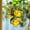 Size 4inch, variant on Lemon Branch Acrylic Suncatcher, Faux Stained Glass Bee Lemon Window Decor, Citrus-Themed Hanging, Summer Housewarming Gift