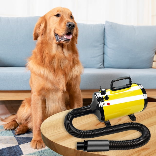 2000W High Pot Pet Blower Bajo ruido paso sin pasos para el cabello para perros secador (amarillo)