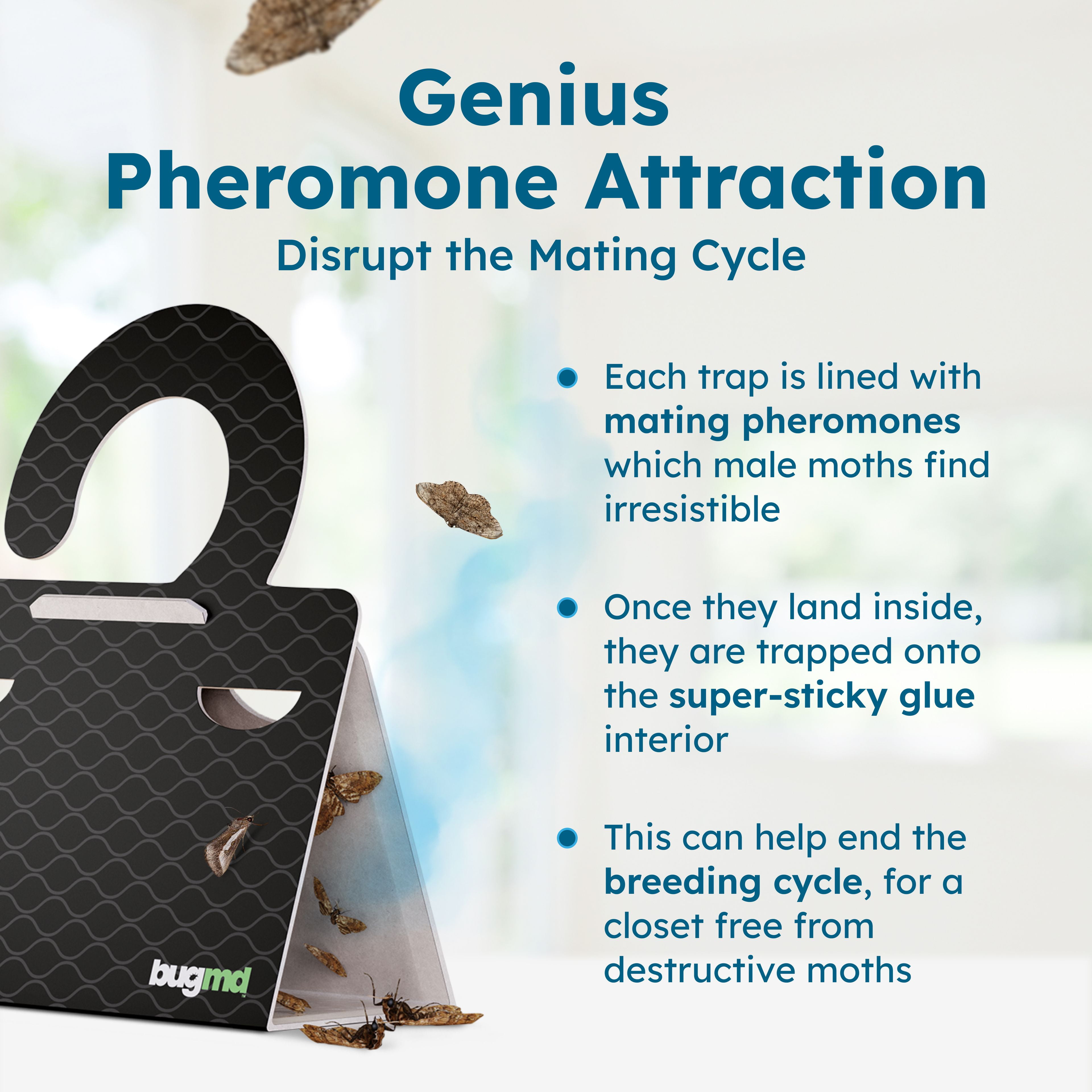 BugMD Clothes & Pantry Moth Traps (6 Count) – Sticky Glue Pheromone-Based Repellent for Closets, Cabinets & Wardrobes – Non-Toxic - Black