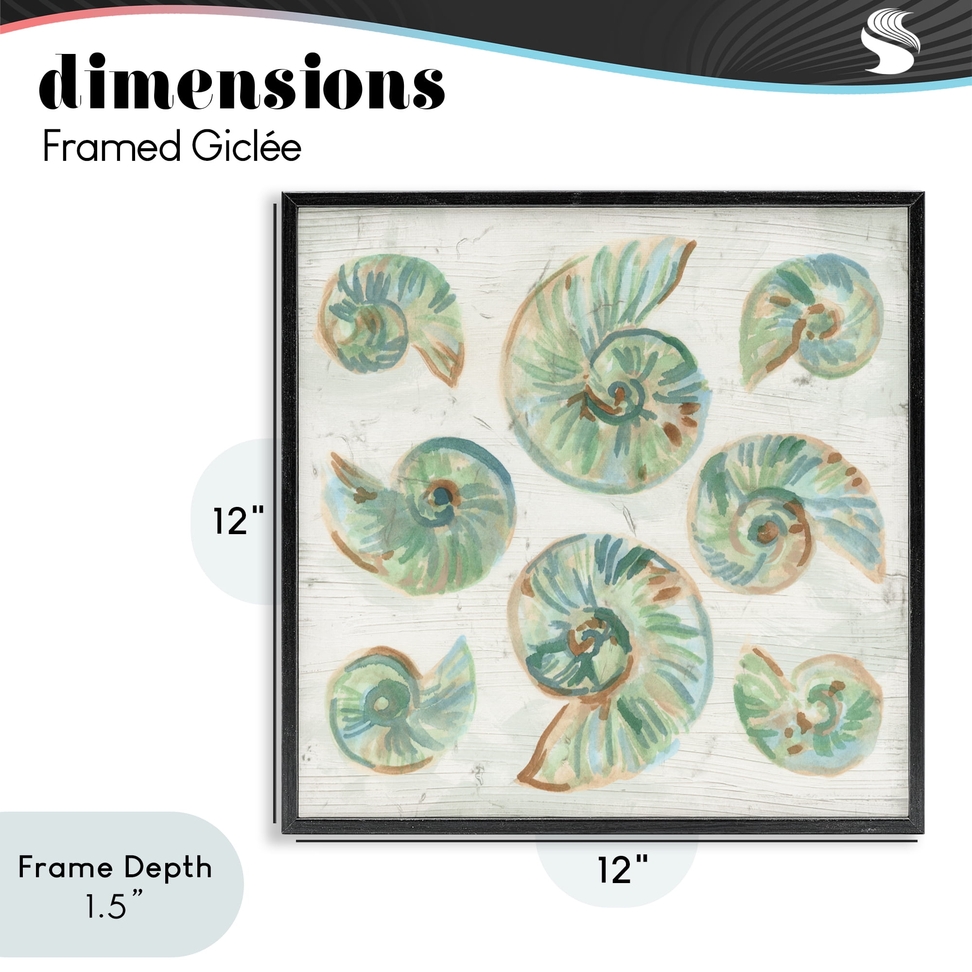 Stupell Industries Organic Saltwashed Shells Black Framed Giclee Art, design by June Erica Vess