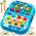 thumbnail image 1 of Juego interactivo HopeRock Toys para niños pequeños, 42 x 30 x 7 cm, 1 of 8