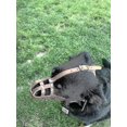 thumbnail image 2 of Light Leather Dog Muzzle For Chihuahua Yorkshire Terrier Mini Pitcher Other Small Dogs (natural Le, 2 of 5