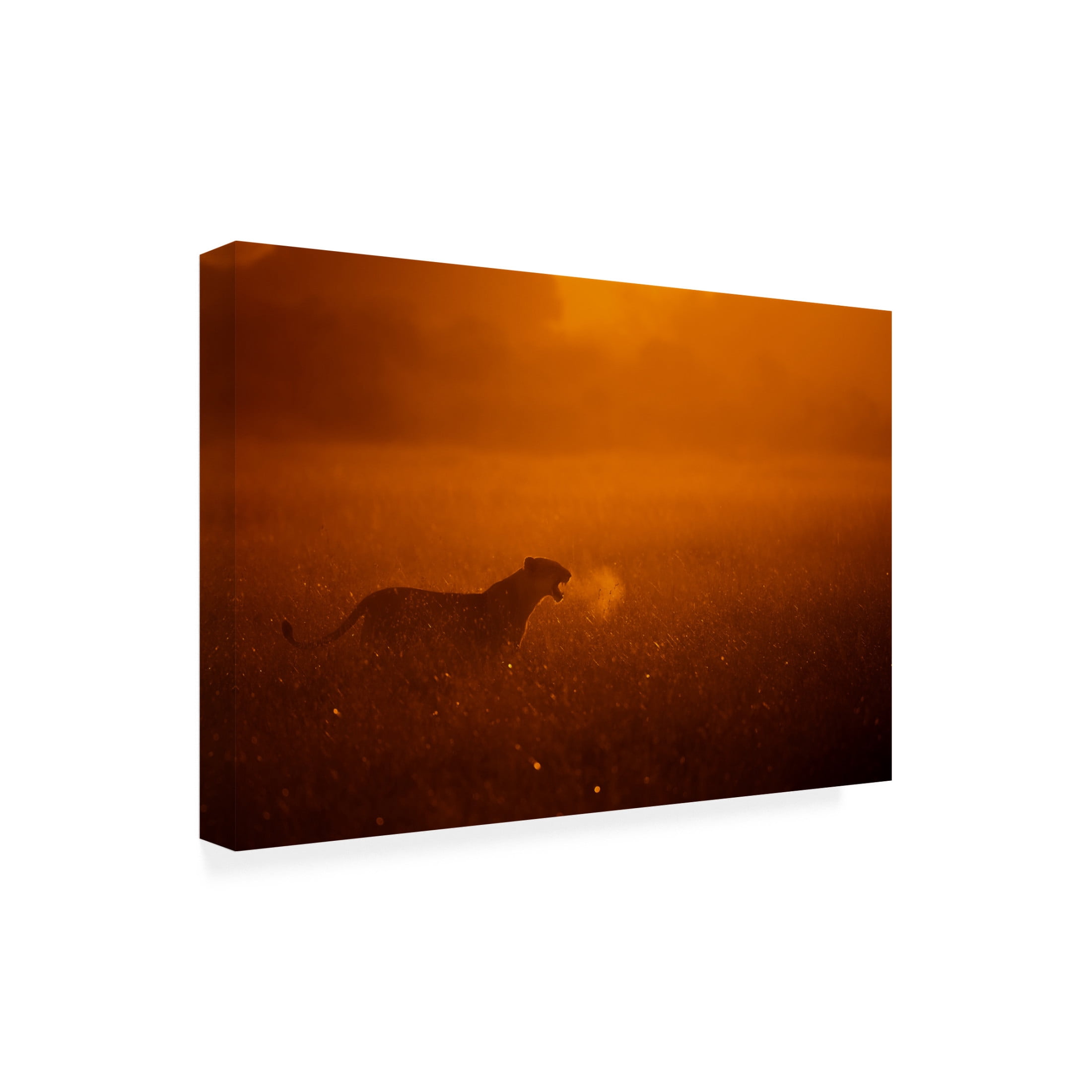 Canvas Wall Art - Mohammed Alnaser 'Puff' Wall Art for Living Room, Bedroom, or Office D?cor by Trademark Fine Art - 47 x 30 Inches