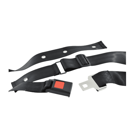 LumiJourney Wheelchair Seatbelt Safety Harness Adjustable 42-62 Inch, Quick Release Buckle, Nylon, 1-Pack