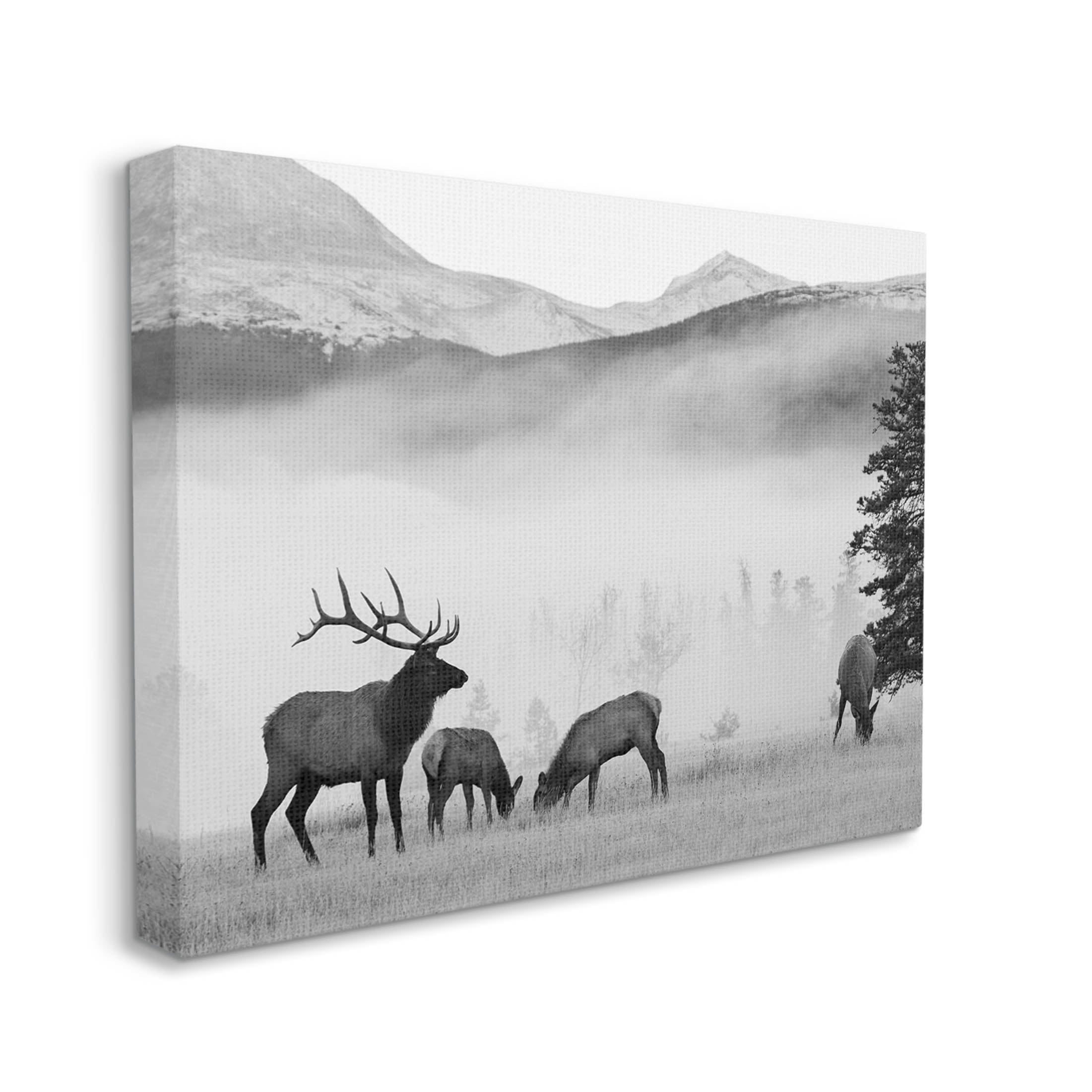 Stupell Industries Foggy Rural Deer Grazing Photograph Gallery Wrapped Canvas Print Wall Art, Design by Danita Delimont