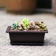 thumbnail image 3 of Travelwant Succulent Pots with Drainage Tray, Marble Pattern Large Succulent Planter Pot, Shallow Flower Pot Succulent/Cactus Planter, 3 of 7