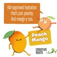 thumbnail image 5 of Creative Roots Peach Mango Coconut Water Kids Drink, 4 ct Pack, 8.5 fl oz Bottles, 5 of 16
