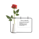 thumbnail image 1 of Famosa poesía la tristeza de la separación Botella de decoración de jarrones colgantes de flores rosas artificiales, 1 of 3