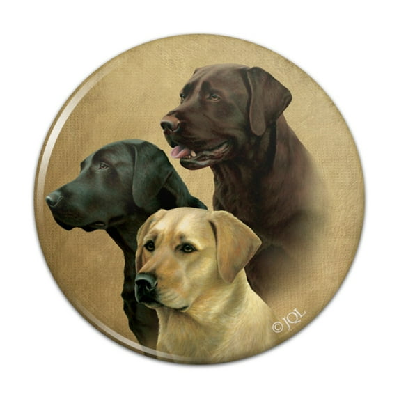 Labrador Retriever Trio Dogs Portrait Pinback Button Pin