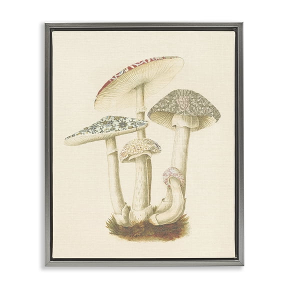 Stupell Industries French Country Vintage Mushroom Study Gray Floating Frame Canvas Art, 25 x 31, by Lil' Rue