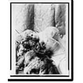 thumbnail image 2 of Historic Framed Print, [Lillian Russell, three-quarter length portrait, seated, facing slightly left leaning left on tiger head & skin], 17-7/8" x 21-7/8", 2 of 9
