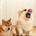thumbnail image 4 of Interactive Dog Ball Toy, LED Lights, IP54 Waterproof, Rechargeable, Automatic Rolling Ball Toy for Indoor and Outdoor Use, 4 of 8