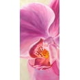thumbnail image 2 of Ann, Cynthia 11x18 Black Ornate Wood Framed with Double Matting Museum Art Print Titled - Purple Orchids I, 2 of 4