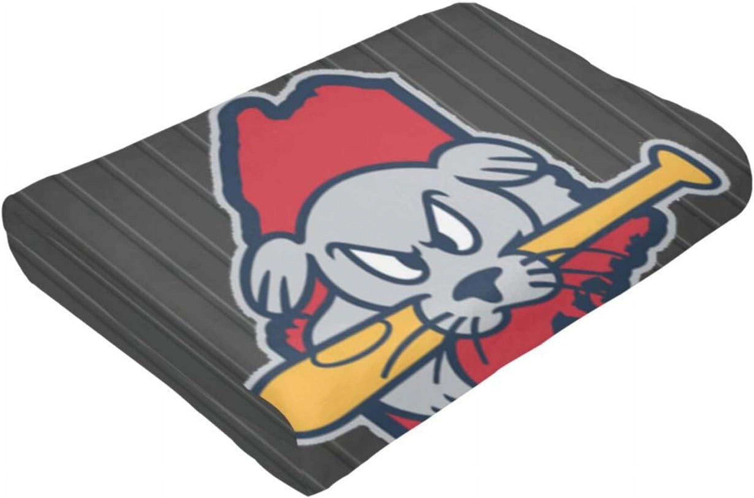 Portland Sea Dogs University Logo Fleece Blanket, Very Soft Microfiber Flannel Blanket for Couch Warm and Cozy for All Seasons