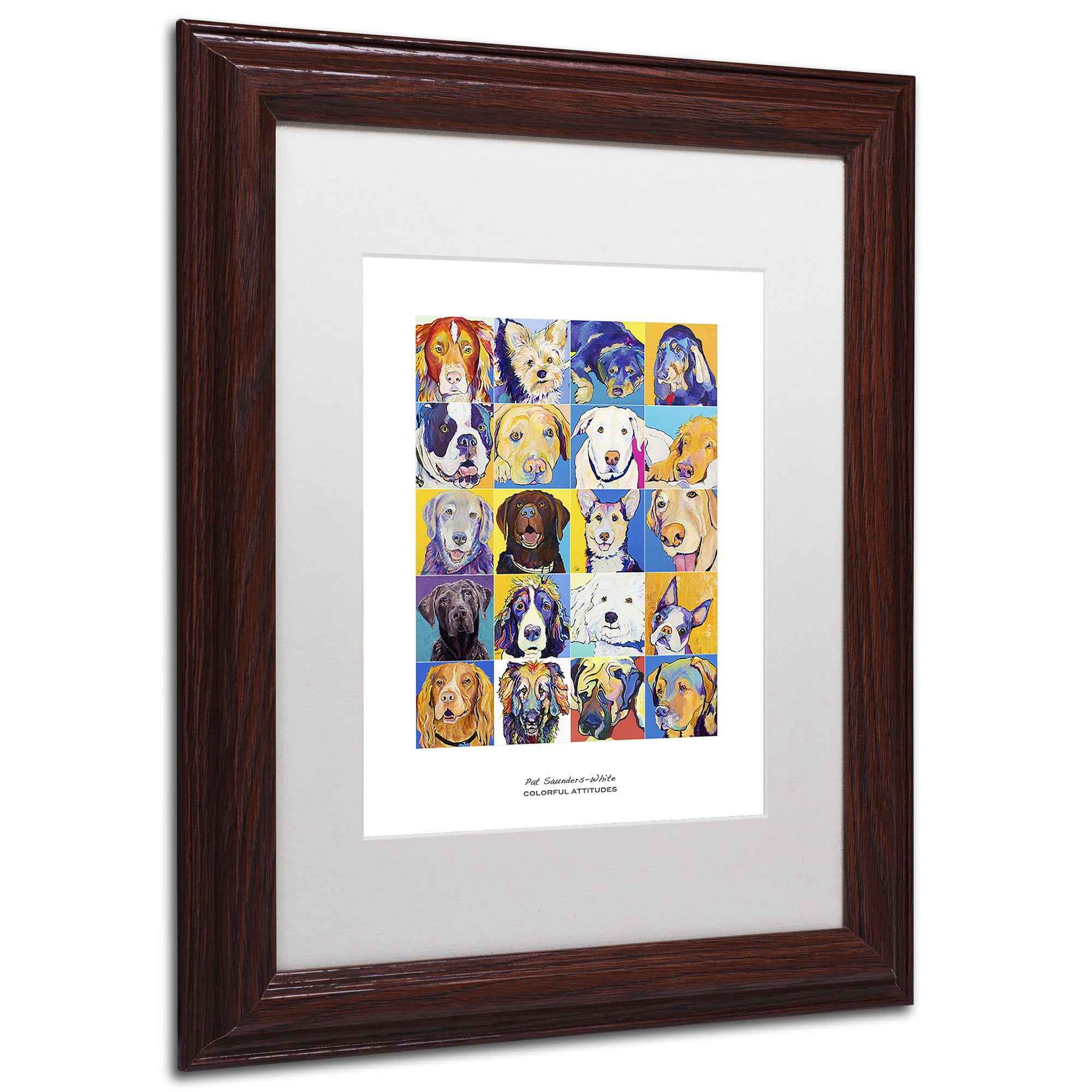 Trademark Fine Art "Colorful Attitudes Poster" Canvas Art by Pat Saunders-White, White Matte, Wood Frame