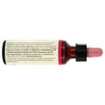 thumbnail image 2 of Bach - Bach Original Flower Remedy Dropper Sweet Chestnut Flower Essence - 20 ml., 2 of 5