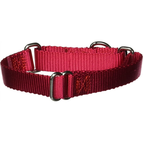 shiyou-PetSafe Martingale Collar, 3/4" Small, Red