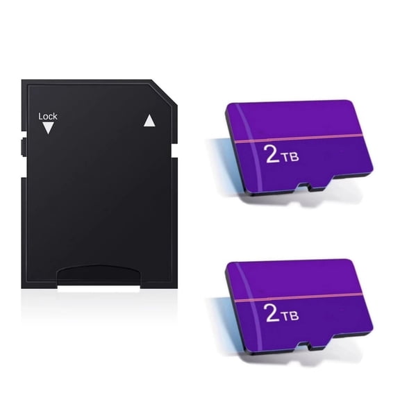 Flash Memory Card with Adapter, 2 Total Count