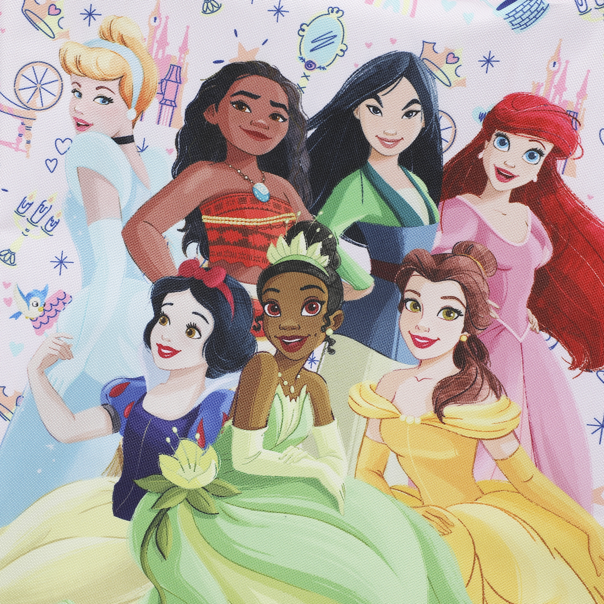 Disney Princess Group Shot & Icons 14" Youth Pink Pilot Case