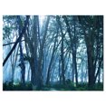 thumbnail image 2 of Dense Rain Forest on Foggy Day - Oversized Landscape Canvas Art, 2 of 3