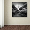 thumbnail image 3 of Trademark Fine Art Landscape Canvas Art ' Struggle ' by Sainty, 3 of 3
