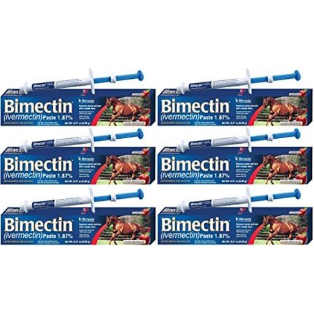 Ivermectin Paste Horse Wormer (1.87 Ivermectin) - 6 DOSES, Model: , Home & Outdoor StoreQ