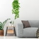 thumbnail image 5 of Plantas Colgantes de Pared Artificiales Verdes para la Decoración de Interiores, Flores Colgantes de Pared de Plástico Verde, Flores Colgantes de Pared Falsas Plantas Verdes para Plantas de Interiores, 5 of 8