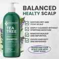 thumbnail image 2 of KESMEDIK Tea Tree Lavender Shampoo with Mint & Rosemary, Clarifying Deep Clean for Buildup, Dandruff & Cools Refreshes Itchy Scalp, Sulfate-Free for Oily Hair, Women & Men, 16 fl oz, 2 of 7