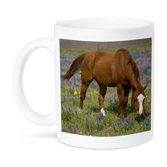 3dRose, Quarter Horse in field of wildflowers Devine Texas - US44 DGU0114 - Darrell Gulin, 11oz Mug