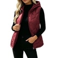 thumbnail image 3 of Cute Jackets Women's Winter Solid Color Quilted Hooded Cotton Jacket With Zip Lining And Pockets Wine XL, 3 of 7
