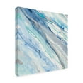 thumbnail image 2 of Trademark Fine Art 'Silver Spring II' Canvas Art by Albena Hristova, 2 of 3