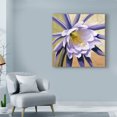 thumbnail image 3 of Trademark Fine Art 'Desert Bloom Flower II' Canvas Art by Jason Higby, 3 of 4