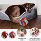 thumbnail image 5 of 2 unids PET PET PERRO SNIFF TOY PUPPY PETHING PET PER PERRO DOG MASCKING TOJO BOLAS DE ALIMENTADOR LENTO, 5 of 6