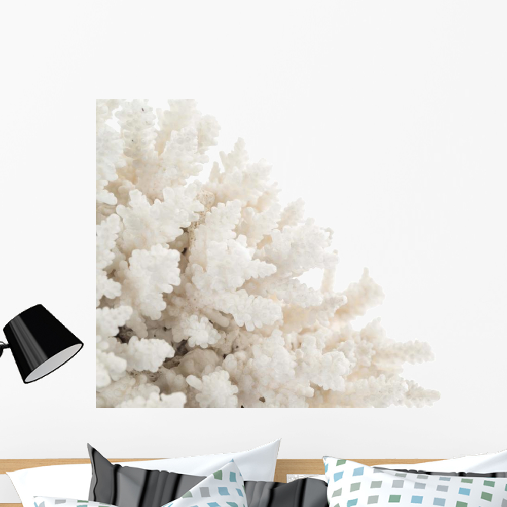 White Coral Wall Mural by Wallmonkeys Peel and Stick Graphic (36 in W x 24 in H) WM281186
