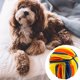 thumbnail image 3 of Alfombrilla para Snuffle para perros Sunnimix Bola de rapé, 3 of 7