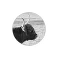 thumbnail image 3 of Phillip, Jamie 24x19 Black Modern Framed Museum Art Print Titled - Farm Animal, 3 of 5