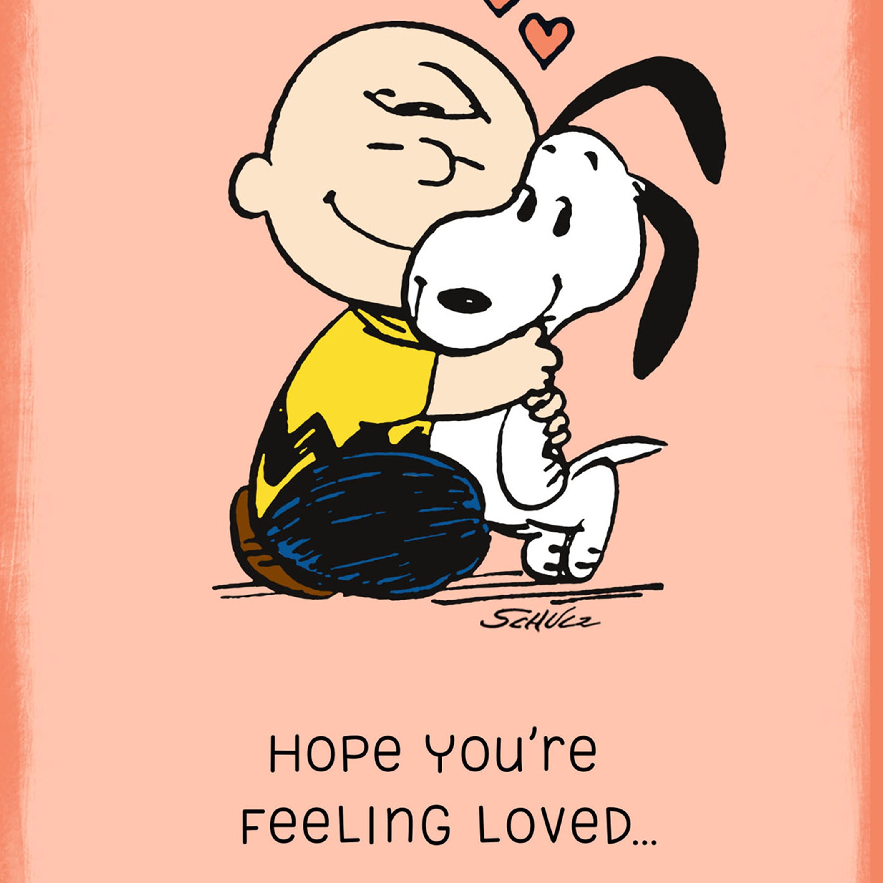 Hallmark Just Because Peanuts Love Greeting Card (Charlie Brown Hugging  Snoopy) - Walmart.com, image size:3000x3000