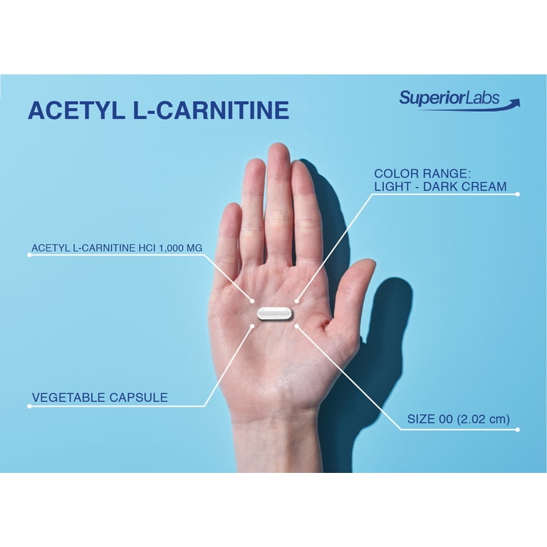 Superior Labs Acetyl-L-Carnitine - 1000mg, 200 Vegetable Capsules - Made in  USA, Money Back Guarantee - Walmart.com