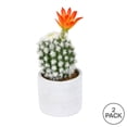 thumbnail image 3 of Vickerman 9" Artificial Green Cactus in Cement Pot, Pack of 2, 3 of 3