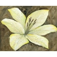 thumbnail image 2 of OToole, Tim 18x15 White Modern Wood Framed Museum Art Print Titled - Neutral Lily I, 2 of 4