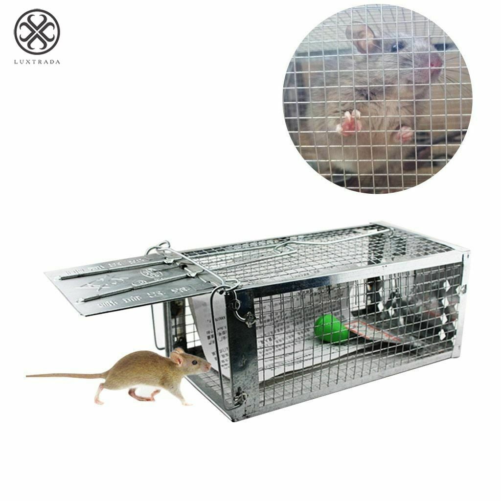 Luxtrada 2pcs Small Animal Humane Live Cage Rat Mouse Mice Chipmunk Small Rodent Catch Trap for Indoor and Outdoor for Gopher Opossum Skunk Groundhog Squirrel Spay Feral Stray Cats Rescue Wild Rabbits