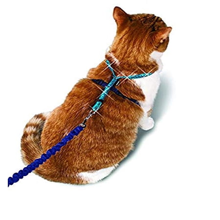 PetSafe Come With Me Kitty Glitter Harness and Bungee Cat Leash, Medium