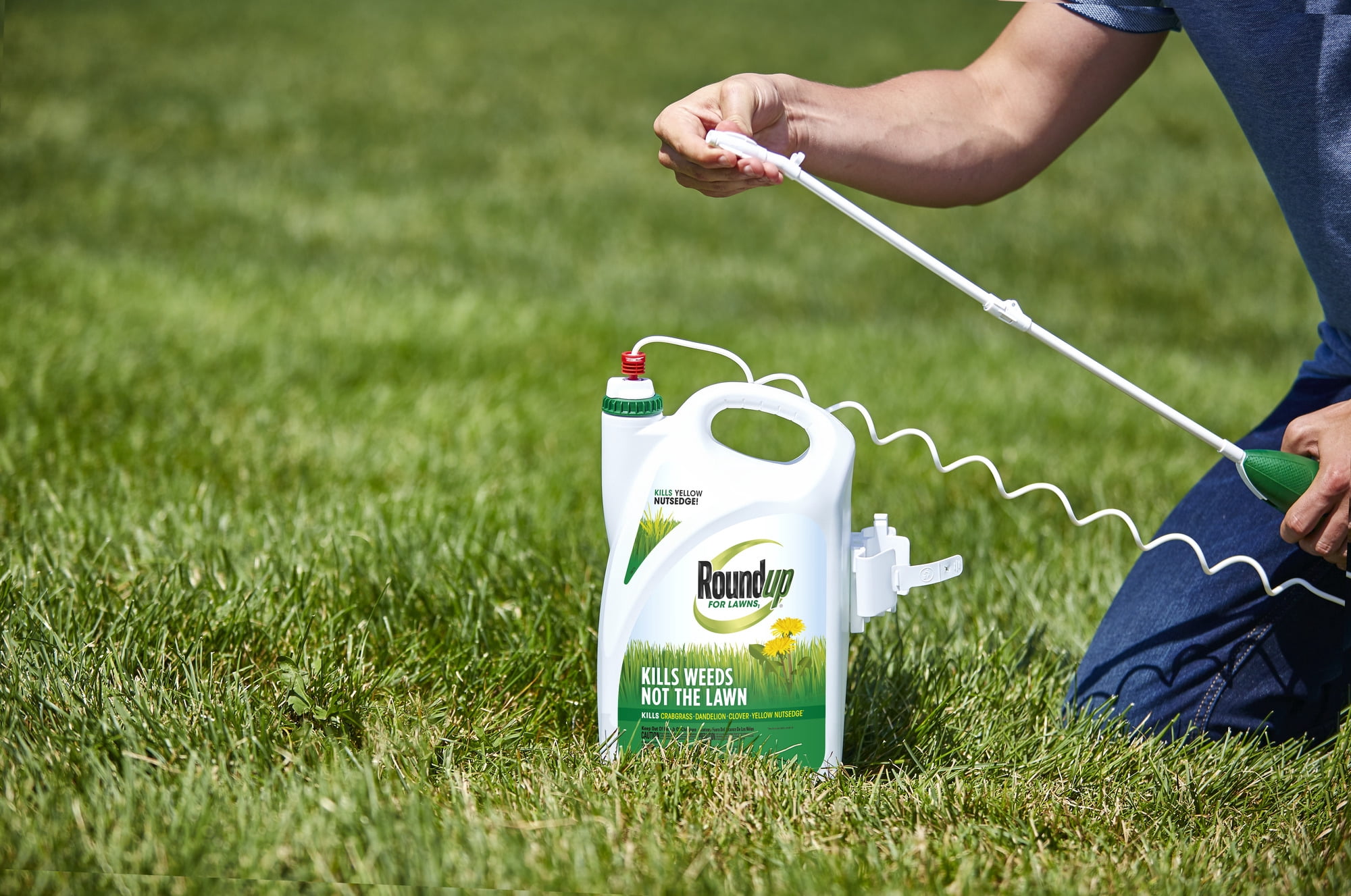 Roundup For Lawns 1 (Northern) Extended Wand, Weed Killer, 1.33 gal., Kills The Root
