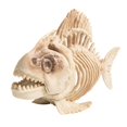 thumbnail image 1 of Lipstore Décoration d'Halloween Squelette de Poisson Multifonctionnel pour Pièce Hantée Réaliste, 1 of 8