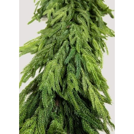 Artificial Christmas Real Touch Deluxe Norfolk Pine Garland - 9Ft
