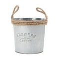 thumbnail image 2 of Regadera s Suculentas Florero Decoración Estilo Clásico 2 Sunnimix Cubo de plantas de flores de metal, 2 of 7